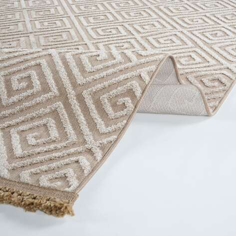 Apex Anemon 6813 Vizon (2)