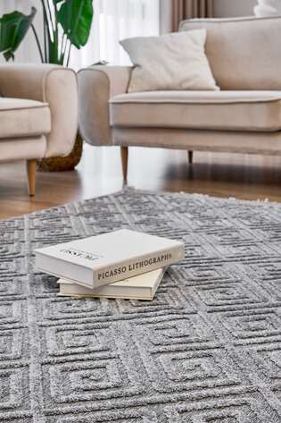 Apex Anemon 6814 Gri (6)