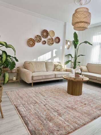 Apex Lava 1541 LV Beyaz