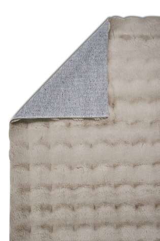 Apex Molecule Vizon (2)