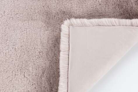 Apex Palma Pudra (2)