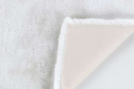 Apex Palma Vizon (2)