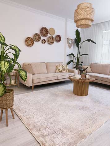 Apex Queen 8102 Mavi