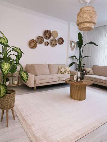 Apex Serenity 7812 Vizon (7)