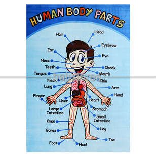 Confetti Çocuk Halıları Anatomy - Thumbnail