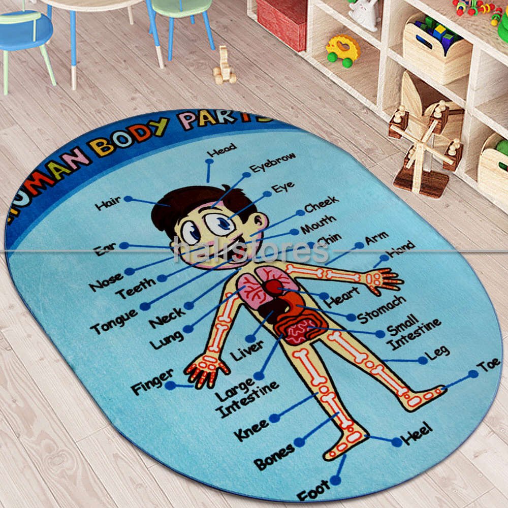 Confetti Oval Çocuk Halıları Anatomy