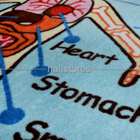 Confetti Oval Çocuk Halıları Anatomy