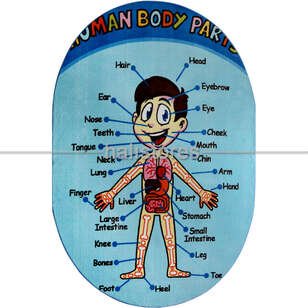 Confetti Oval Çocuk Halıları Anatomy - Thumbnail