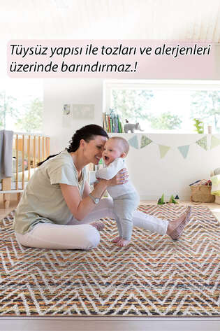 Vintage Eskitme Desenli Dokuma Taban Dekoratif Renkli Halı HS 260