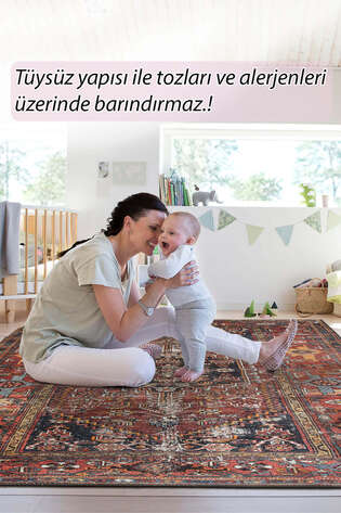 Etnik Desenli Dokuma Taban Dekoratif Halı Rustik Halı HS 132