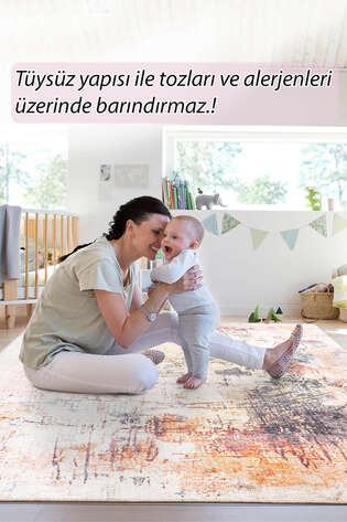 Modern Art Dokuma Taban Dekoratif Renkli Halı HS 262