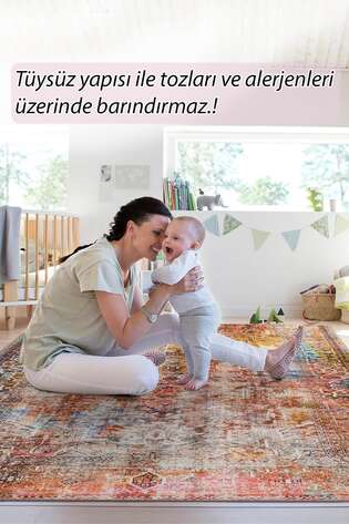 Fusion Modern Dokuma Taban Dekoratif Renkli Halı (AL 101)