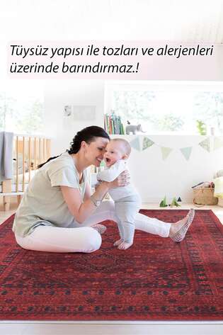 Etnik Desenli Dokuma Taban Dekoratif Kırmızı Halı HS 219